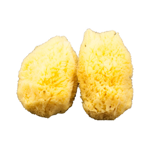 Cosmetic Sea Sponge