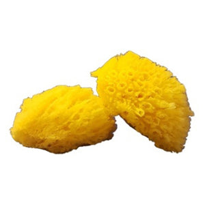 Natural Sea Sponge, Palm size, 2 pack