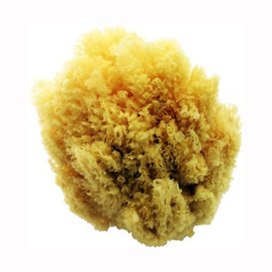 Natural Sea Sponge, Large