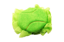 Load image into Gallery viewer, Terry and Mesh Soap Holder Sponge, Assorted Colours
