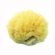 Natural Sea Sponge, Small